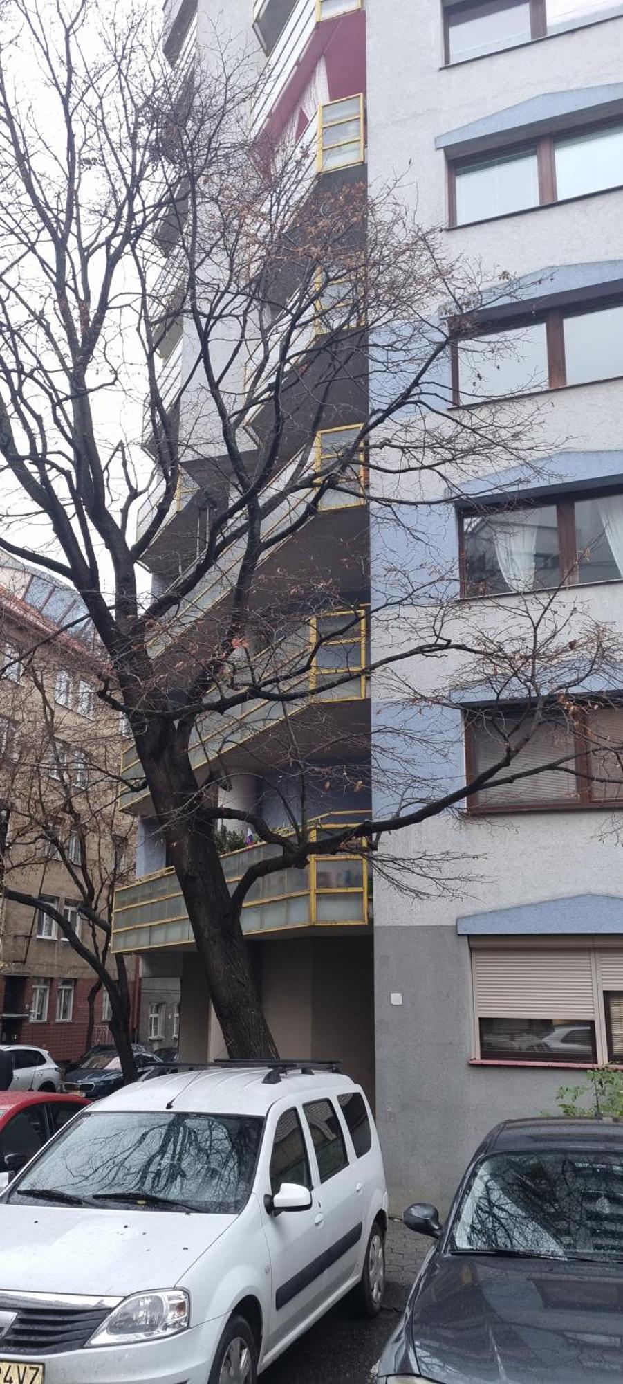 Huge Apartment Next To Train Station Close To The City Center Bratislava Ngoại thất bức ảnh